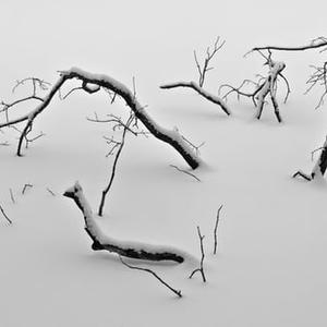 Picture for song 'Lost//Found (80bpm, B min)' by artist 'HappyFace'