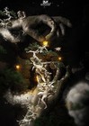 Picture for song 'High h*** Timber' by artist 'Hey Mr'