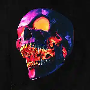 Picture for song 'UNGRATEFUL' by artist 'HOLLYWOOD LEGEND PRODUCTIONS'