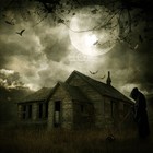 Picture for song 'Cannibal Hillbilly Cabin (w Radio) 2' by artist 'Human Wire Sound'