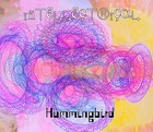 Picture for song 'owl' by artist 'Intellectrical'