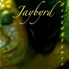 Picture for song '02 The Righteous Way To Go' by artist 'Jaybyrd Musik'