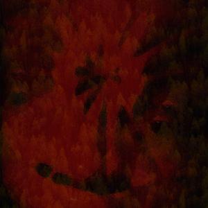 Picture for song 'What You See' by artist 'JimRoss'