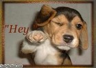 Picture for song 'Aye' by artist 'Joe Tha Chemist'