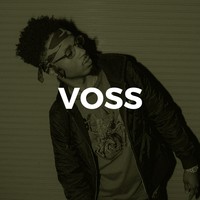 Picture for song 'Voss *FREE DL* ' by artist 'J. Ream'