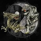 Picture for song 'Never Fold' by artist 'MIDWEST HUSTLAZ'