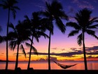 Picture for song 'Palm Trees | Free DL' by artist 'Mr.Kooman'