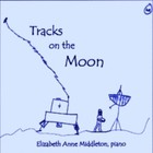 Picture for song 'Born in the Middle of Nowhere' by artist 'PIANORAMA'