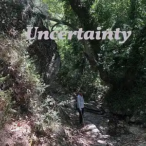 Picture for song 'Uncertainty' by artist 'Pocke Ohrstrom'