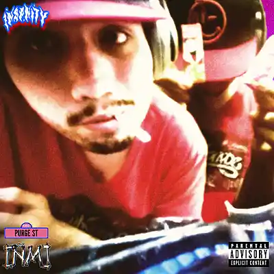 Picture for song 'Nino Miklo - Insanity (Prod. wingsxrra)' by artist 'Purge St. (Topic)'