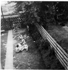 Picture for song 'Singular' by artist 'Robert Miles-Kingston'