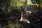 Picture for song 'Downfall' by artist 'SelF-ID'