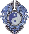 Picture for song 'Dragon protector.mp3' by artist 'snot'
