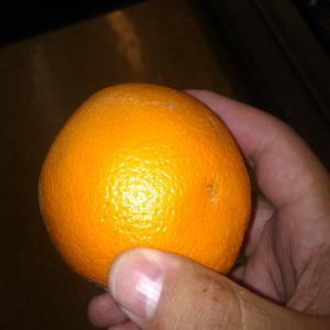 Picture for song 'Reflections in the Orange Peel' by artist 'Spaceship Vicar'
