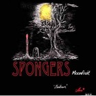 Picture for song 'moonfruit-01-crabman' by artist 'SPONGERS'