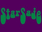 Picture for song 'Stream' by artist 'StarSaje'