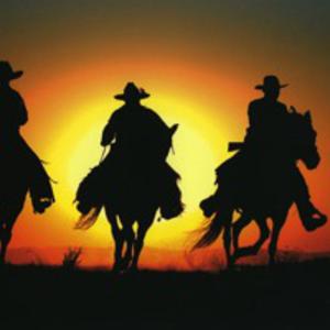 Picture for song 'Lonesome Rider' by artist 'Swampman And The Machine'