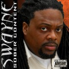 Picture for song 'SEX, DRUGS, & HIP-HOP MUSIC' by artist 'SWAYNE1'