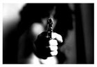 Picture for song 'They Shot My Love (Base on a True Story)' by artist 'That's My Word Production'