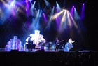 Picture for song 'Trade With Me 2011' by artist 'The Band N8'