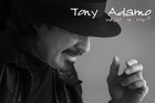 Picture for song 'What Is Hip_.mp3' by artist 'Tony Roc Adamo(US)'