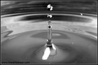 Picture for song 'Drip Drop (SOLD)' by artist 'Trackslammerz'