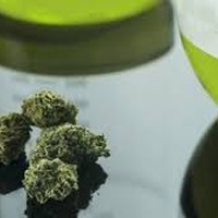 Picture for song 'Fish scale 2 //FREE DL//' by artist 'TRAP XZECC'