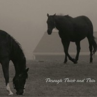 Picture for song 'Through Thick and Thin' by artist 'unca Bob'