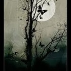 Picture for song 'Build Upon Buried Dreams' by artist 'Visions of Reservoir'