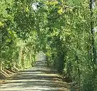 Picture for song 'Adoration' by artist 'Voice of Victory'