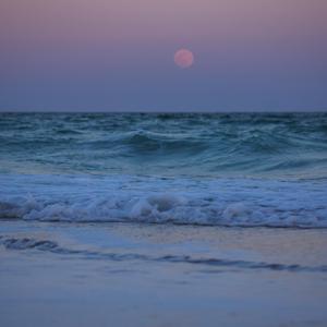 Picture for song '"Since When" Beat for Sale' by artist 'whoDeanyBeatz'