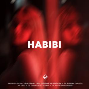 Picture for song 'Habibi (HammAli x Navai Type Beat)' by artist 'WZ Beats Store'