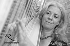 Picture for song 'Hamlet Main Theme Alternate with Percussion Fast P' by artist 'Xenia Horne Harpist'