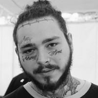 Picture for song 'WYD *Post Malone*' by artist 'XXXMAKEITBOUNCE'