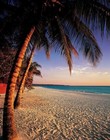 Picture for song 'Take me there (Exclusive!! live/Guitar FREEDL' by artist 'YoungO Productions'