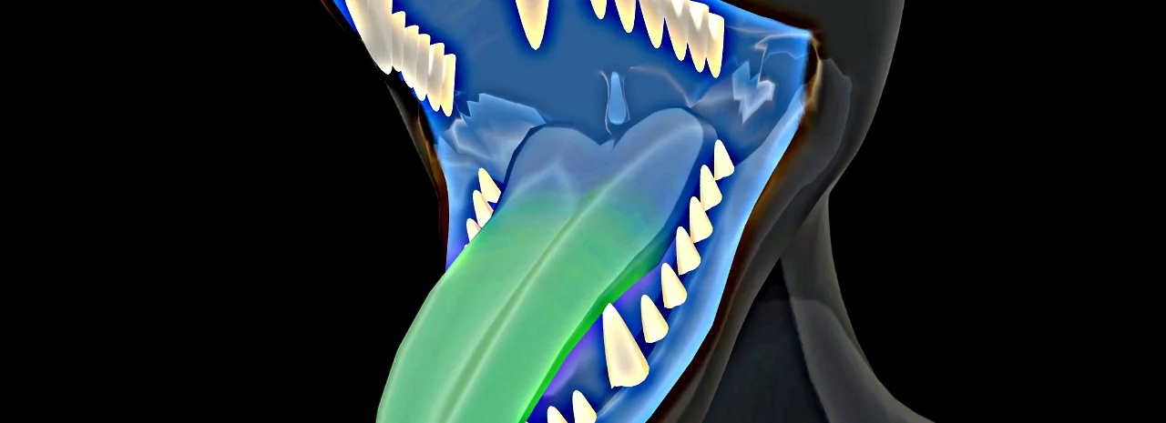 cover pic