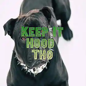 Song picture