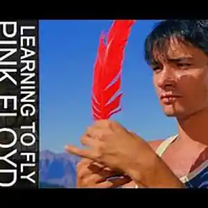 Picture for song 'Learning to Fly [1]' by artist 'Cecil Vittar'