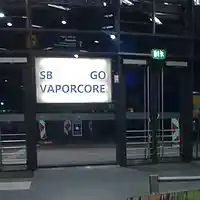 Picture for song 'Schoenlein Brilliant: Tight Straitjacket with Gag' by artist 'c.i.z. music'