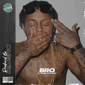 Picture for song 'Bro' by artist 'Dimsho Beats'