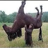 Picture for song 'Deep Floyd 368-The Neighing' by artist 'Jammer59'