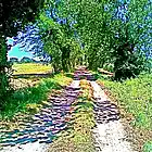 Picture for song 'Emporda Roads (Camins de l'Emporda)' by artist 'Nahum'