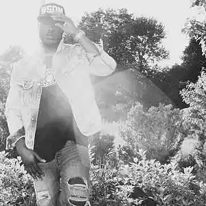 Picture for song 'Silly Season' by artist 'Nature Boy Holls'