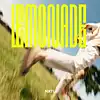 Song picture of 'Lemonade'