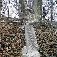 Picture for song 'Dark Angel' by artist 'Spiritus Leach'