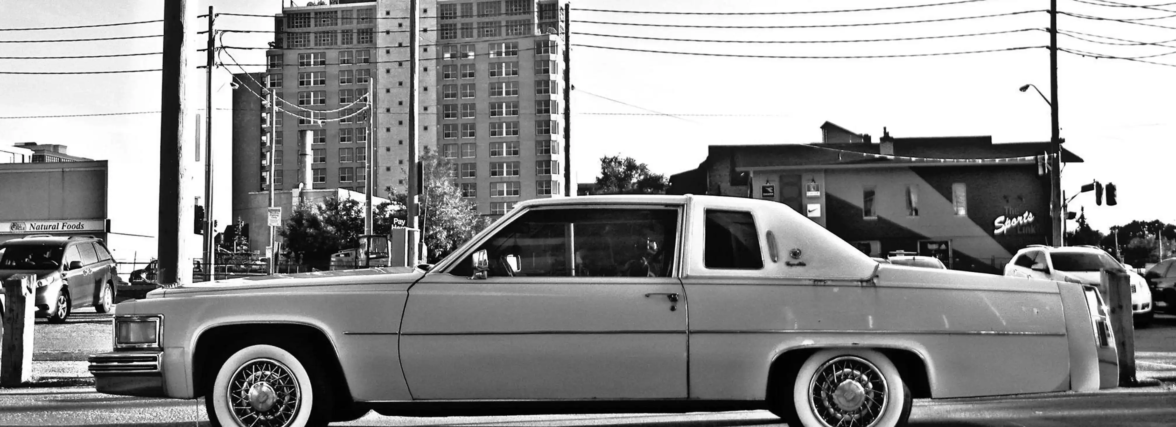 cover pic
