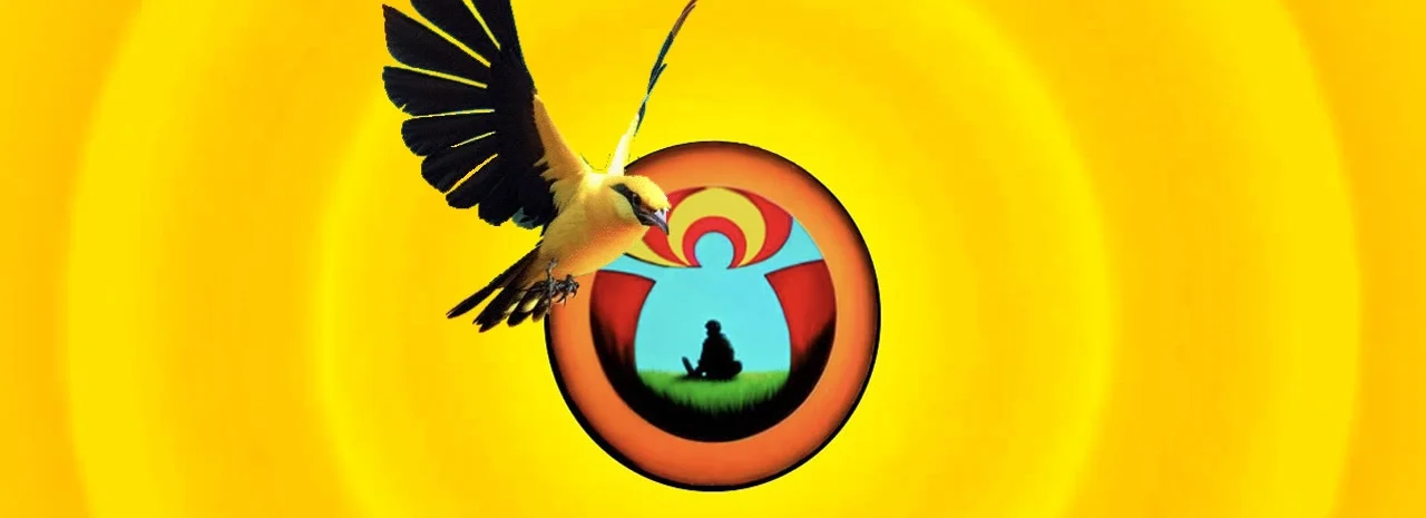 cover pic