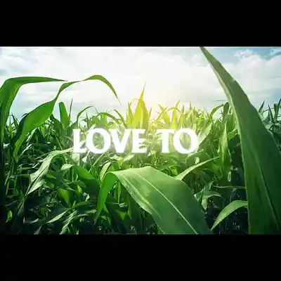 Picture for song 'Alexis SEAS - LOVE TO' by artist 'Alexis SEAS'