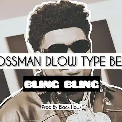 Picture for song 'Bossman Dlow X VeezeType Beat - BLING BLING' by artist 'Black Hawk'