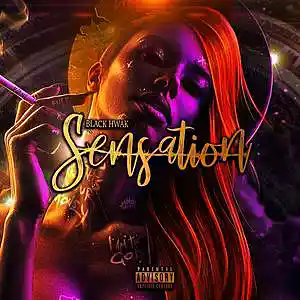 Picture for song 'Sensation' by artist 'Black Hawk'